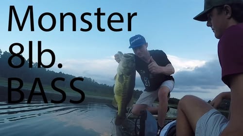 8 Pound Bass