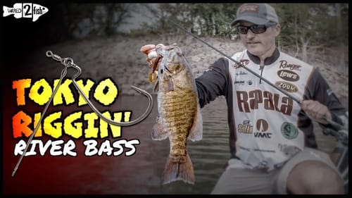 Tips on Locating and Catching River Bass
