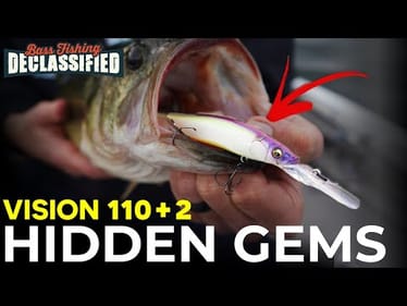 My #1 Jerkbait That Everyone Forgets About
