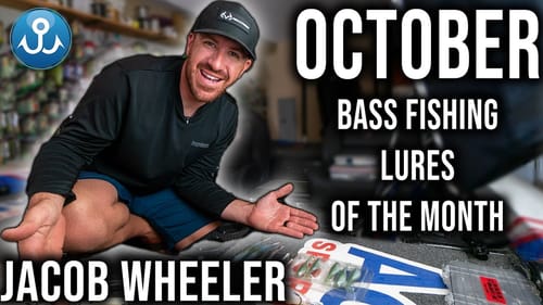 Jacob Wheeler's Top 6 Baits For October Bass Fishing