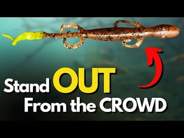 5 Ways to Rig the UNDERRATED Lizard for Bass (#5 is a Must See)