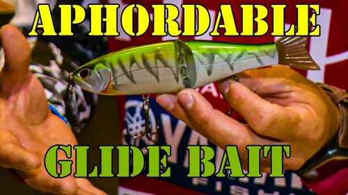 Super AWESOME New Bass Fishing Glide Bait For CHEAP - Palaniuk