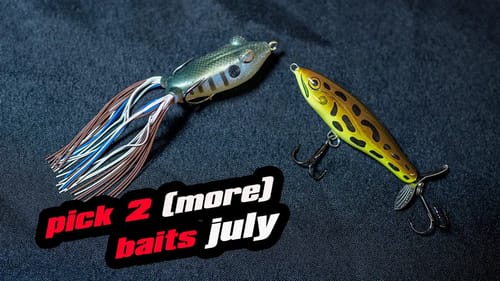 Pick 2 (More) Baits | July