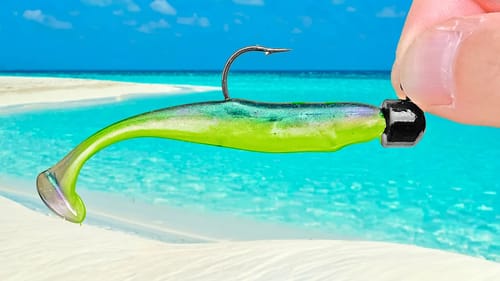 Fishing tropical beaches