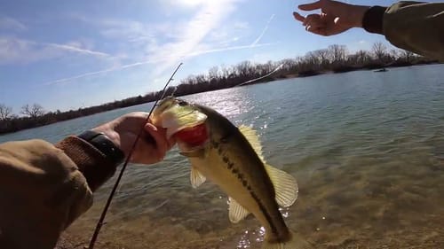 Wintertime Pond Bassin' (With Ethan!!)