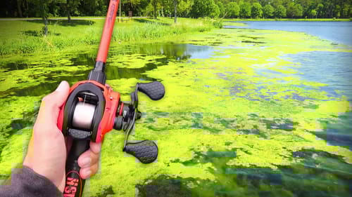 Fishing Ultra CLEAR Lake w/ FROGS! (I'm SHOCKED)