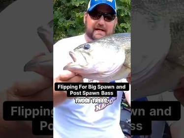 When This Creature Bait Works Every Time For Bass!