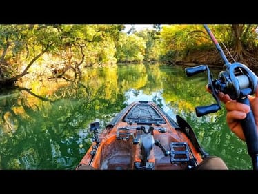 Fishing Trees in a Narrow River