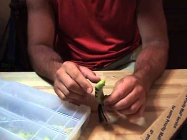 BART info + unboxing