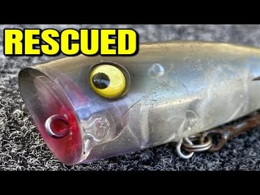 What Happens When You Use The MOST Expensive Popper for Bass Fishing
