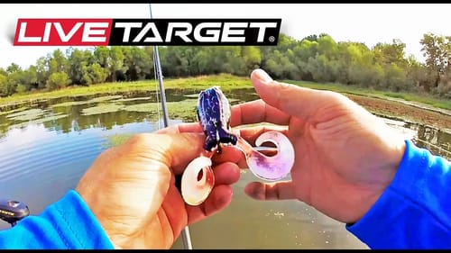 BASS Fishing + DRONE Footage + TOPWATER Blow-Ups (LIVETARGET Freestyle Frog)