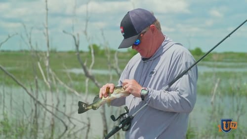 Ultimate Bass Fishing Soft Plastic: What is a Strike King Scounbug?