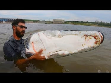 The BIGGEST SWIMBAIT FISH caught on YOUTUBE?! (In the world?)