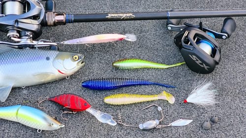 Bass Fishing Gear Review: Megabass Destroyer P5, Shimano SLX A, and Baits!!!
