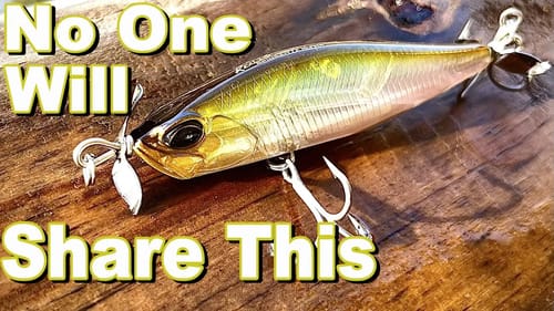 Fish a Spybait HERE Right NOW!