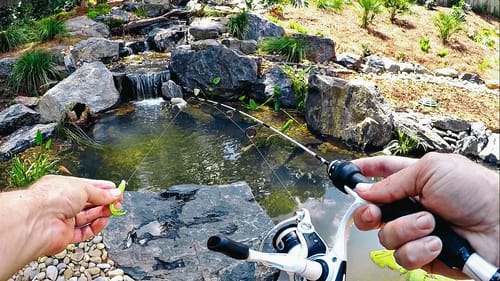 Micro Fishing for a New Pet Crappie!