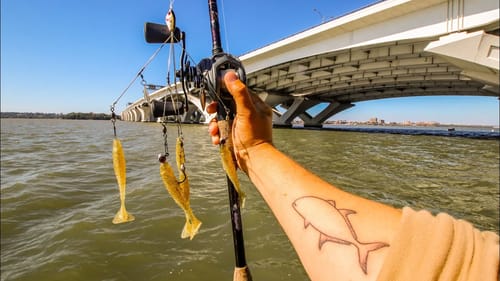 Fishing a Giant Urban River (Biggest Bridge I've Ever Fished)