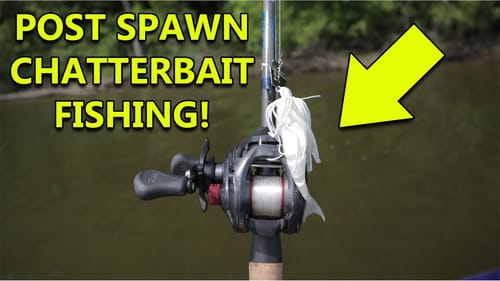 Chatterbait Fishing for POST SPAWN Bass!