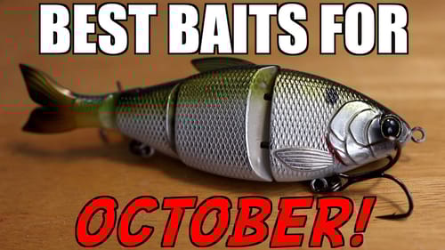 Top 3 BAITS For OCTOBER Bass Fishing!