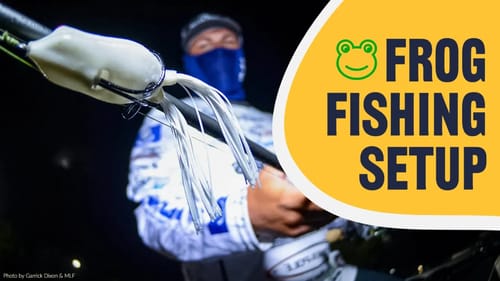TOP GEAR for Frogs - Bass Fishing Tips for Beginners