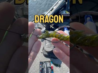 Catching Fish on a Dragon Lure from Temu #fishing