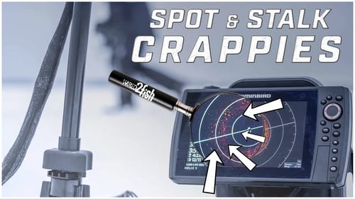 How to Find Crappies Ice Fishing | MEGA 360 Pointers
