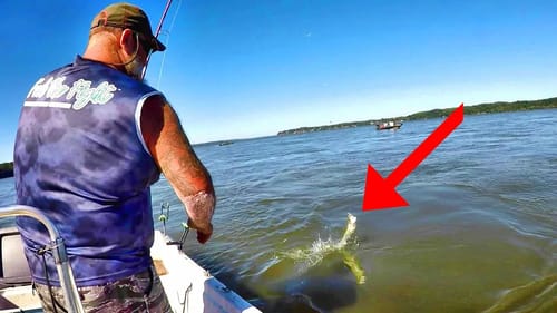 EASY Way To Catch TONS Of The BEST Catfish Bait!!!