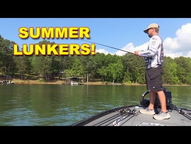 How to Catch Bass in Thick Grass All Summer Long | Bass Fishing
