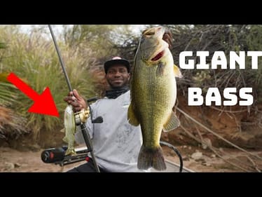 This Big Soft Swimbait Catches Giant Bass In The Winter!