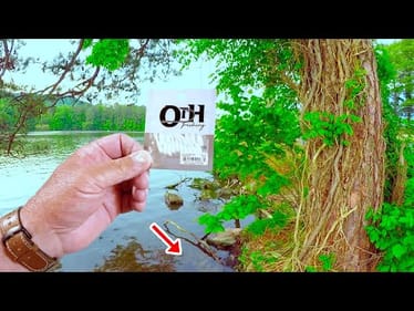 Easy Way Anybody Can Catch Dinner Right From The Bank! Crappie & Bluegill