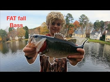 Pond Hopping For FAT fall BASS.