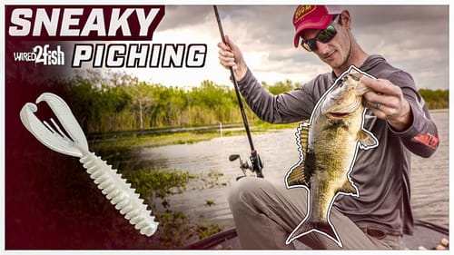 Flipping for LUNKER Largemouth Bass in Florida