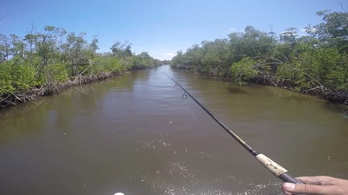 Fast Current Backwater Fishing
