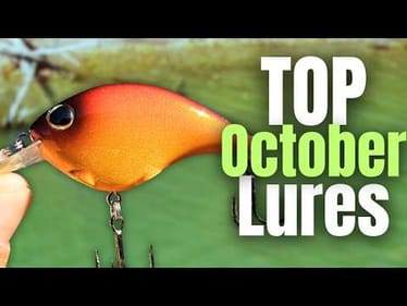 Bass CAN'T Resist These OCTOBER LURES