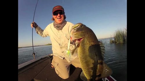 Catching big bass on a swim jig