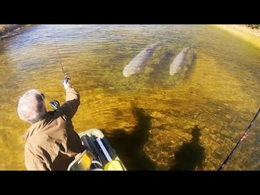 INSANE FARM POND is LOADED WITH MONSTERS!!!