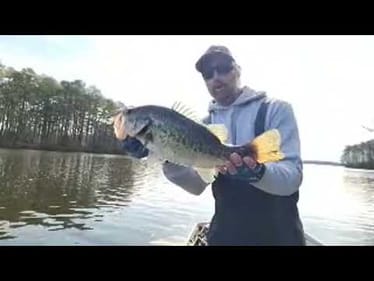 Chasing 15lb Limit of Bass LIVE On the Water!!