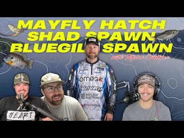 Do NOT MISS these Shallow Bites that Produce BIG Bass!