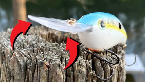 Did You Know This About Crankbaits?