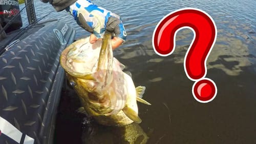 WE Met a CELEBRITY BASS FISHING?!?!  MY 2019 PB!!!!