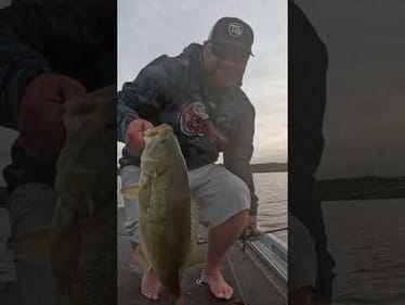 🎣 Who's Ready For Shorts And Topwater Again?! 🙌