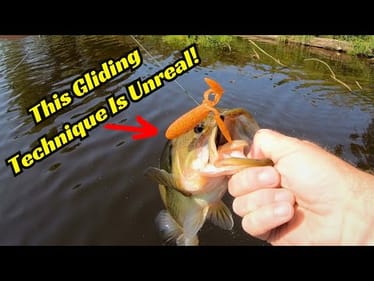 This New Hybrid Soft Plastic Bait Blew Me Away! It’s Killer On The Ozark Rig!