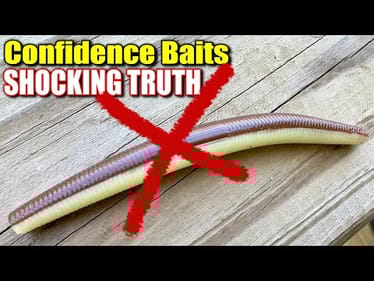 Want to Catch More Fish? The SHOCKING Truth About Confidence Baits