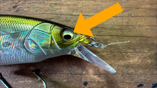 The Worst Mistake You Can Make With Eyes On Your Lures…