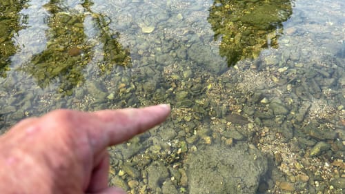 75% Of All Anglers Suck At Fishing Clear Water…(Let’s Fix That)