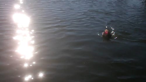 bass fishing 2 4 12
