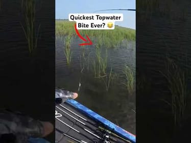 That Bass was Hungry.. 😂 #shorts