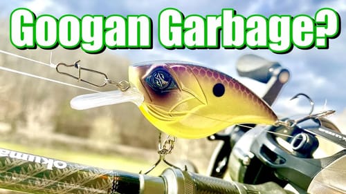 Googan Squad Squarebill in the Early Spring