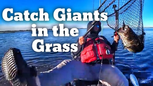 How to Fish for GiANT Bass in the Grass - Bass Fishing