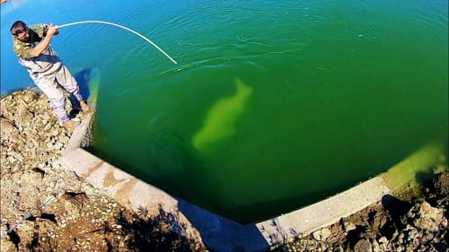 The WEIRDEST SPILLWAY FISH I’ve EVER SEEN!! (INSANE)